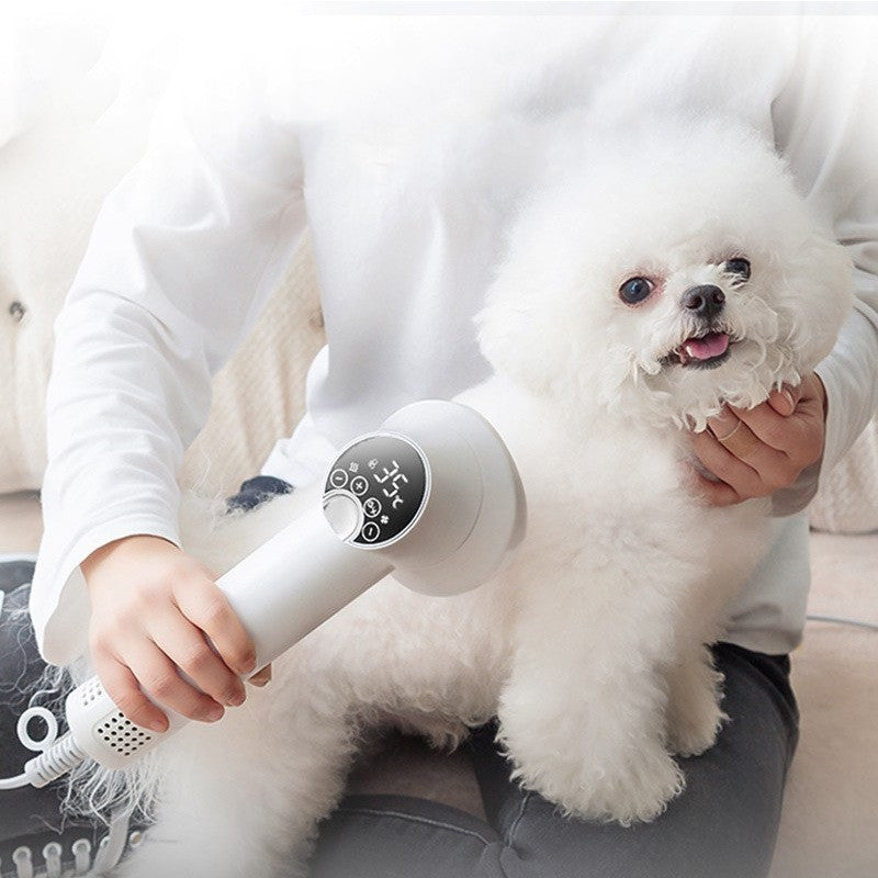 2-in-1 Pet Hair Dryer & Brush – Silent Grooming Tool for Dogs & Cats