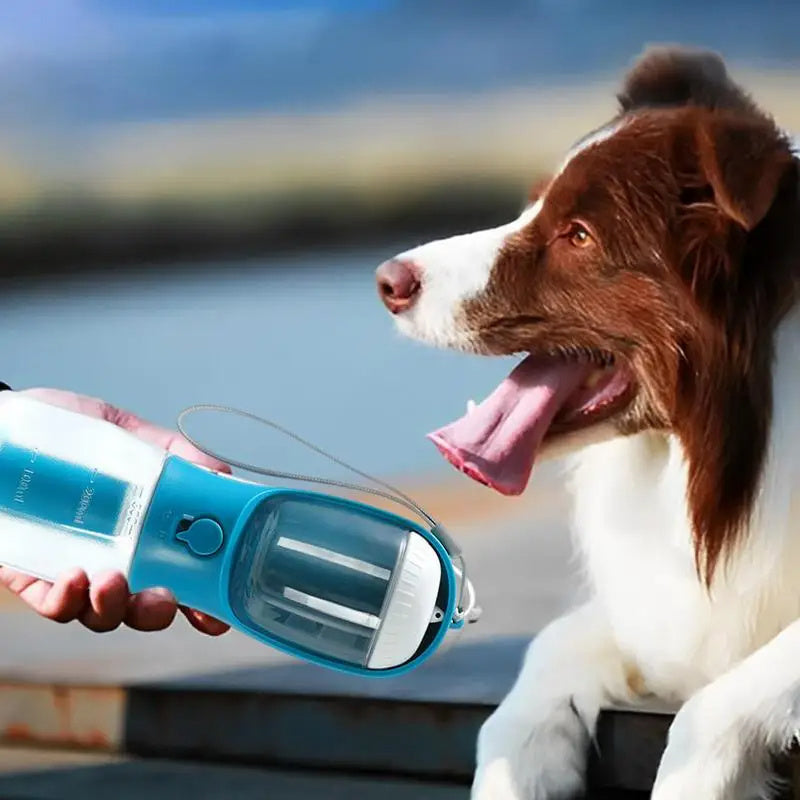 ortable 3-in-1 Dog Water Bottle & Food Container